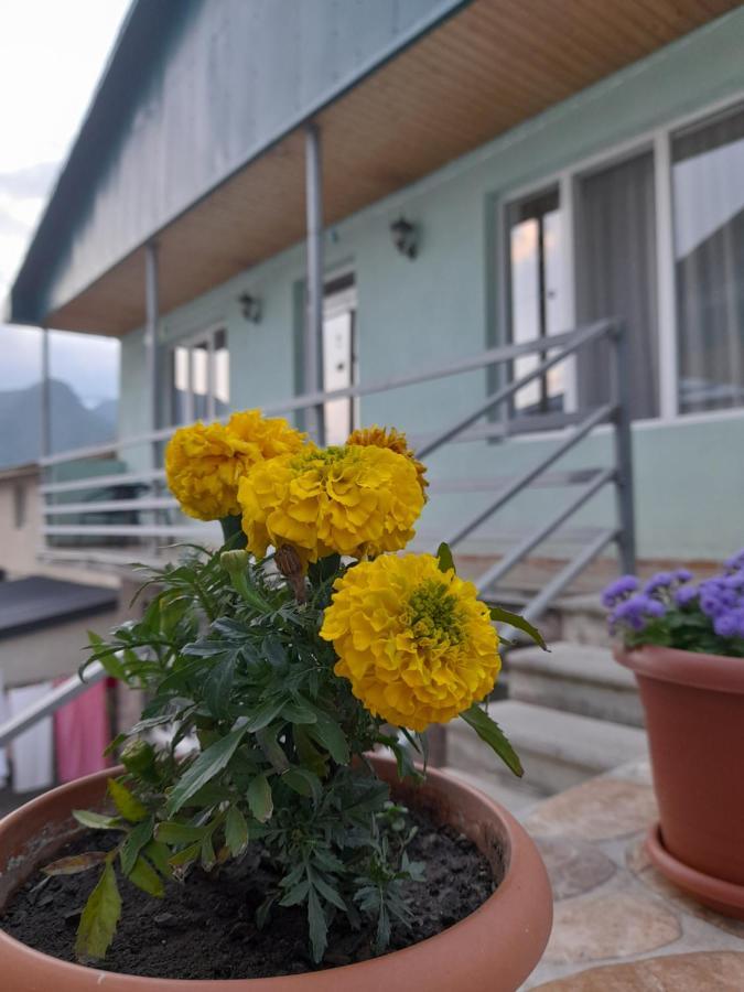Kera Guest House Kazbegi Extérieur photo